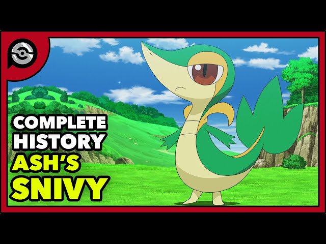 Ash's Snivy: From Diva to BRUISER | Complete History