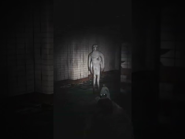 SCP-173-B scared me!