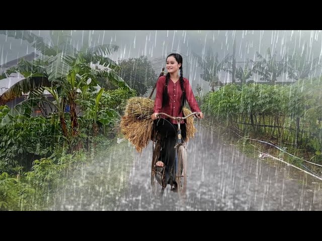 EXTREME WEATHER IN INDONESIA HEAVY RAIN SOUND - Walking in Heavy Rain & Loud Thunder, RAIN SOUNDS