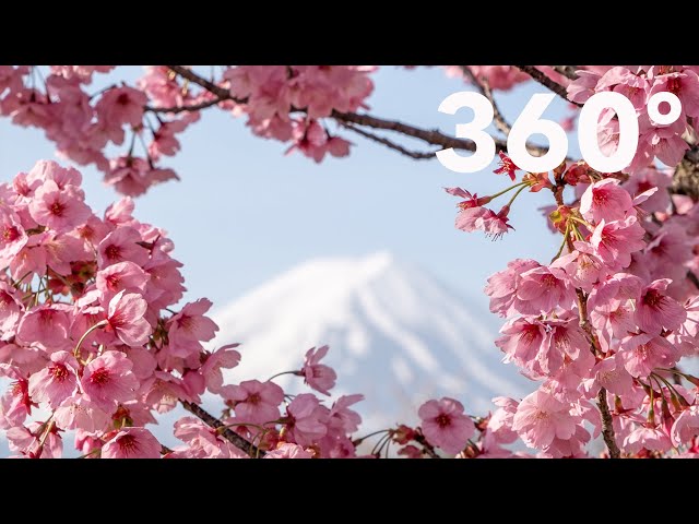 A prayer over FUJI, 360' film