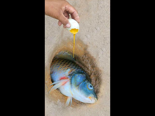 Survival Skills: Simple But Very Useful fish Use A Egg To Catch Fish In Underground Hole