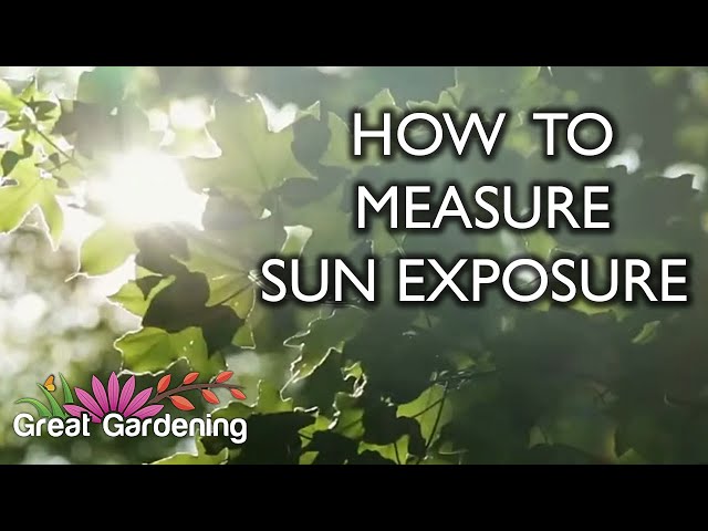 How to Measure Sun Exposure In Your Garden