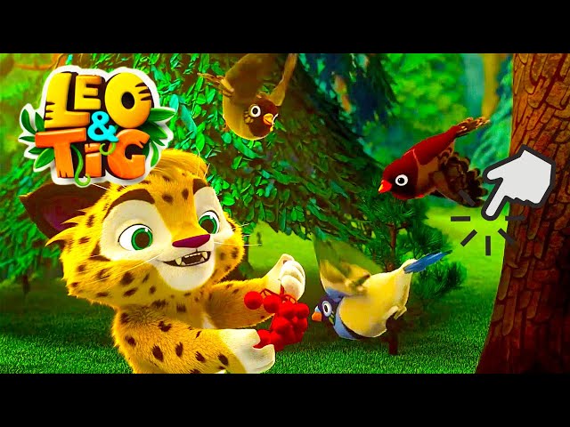 Autumn magic in the forest 🦁 Leo and Tig  LIVE 🔴 Funny Family Good Animated Cartoon for Kids