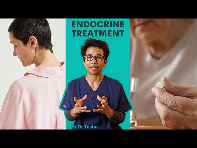 What is Endocrine Treatment For Breast Cancer?