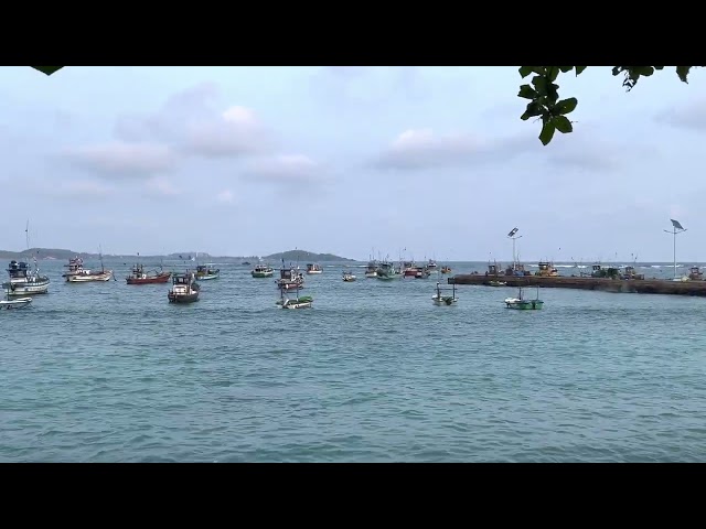 Hundreds of Boats anchored at beautiful Weligama fisheries bay Sri Lanka zoom in static shot 4K