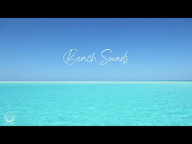 🌫Relaxing Beach Sounds - Calm Waves and Gentle Breezes