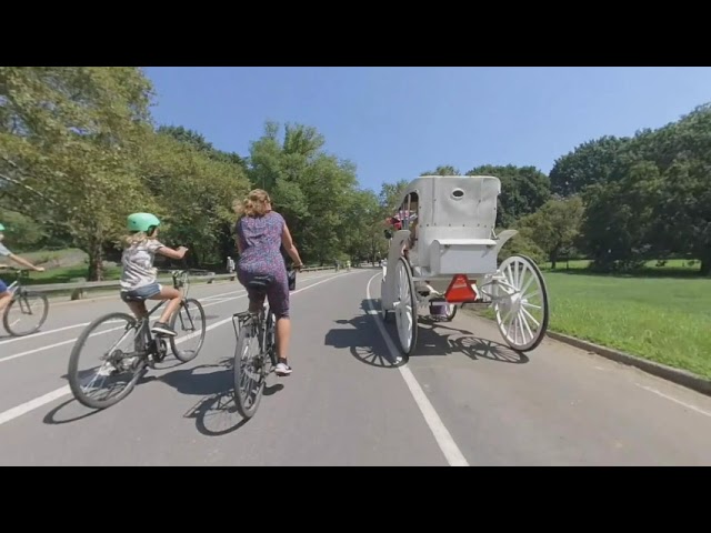 3D 180 VR video riding in Central Park