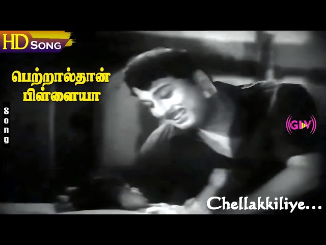 Chellakkiliye Mella Pesu HD - M.S.Viswanathan | T.M.Soundararajan | Petralthan Pillaiya | Tamil Song