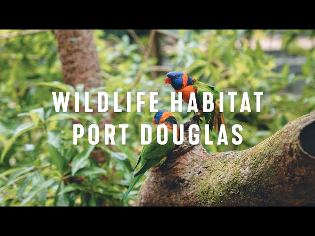 Meet Australian Wildlife at Wildlife Habitat Port Douglas