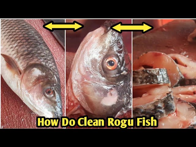 #HowDoCleanRoguFish வறுவல்க்கு ரோகு மீன் அப்படி இருக்கும்🐟🐟🐟🔪🔪🔪