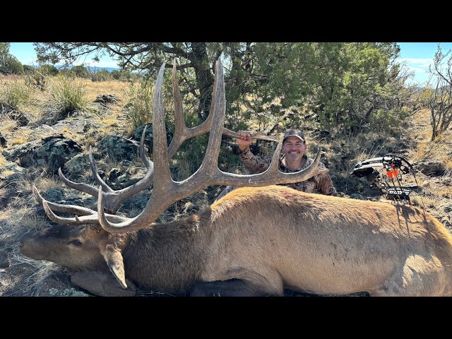 The Rut: Arizona Elk Hunting