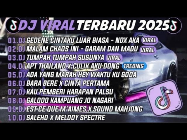 DJ TIKTOK TERBARU 2025 - DJ GEDENE CINTAKU LUAR BIASA - NDX AKA DJ MALAM CHAOS INI - GARAM DAN MADU