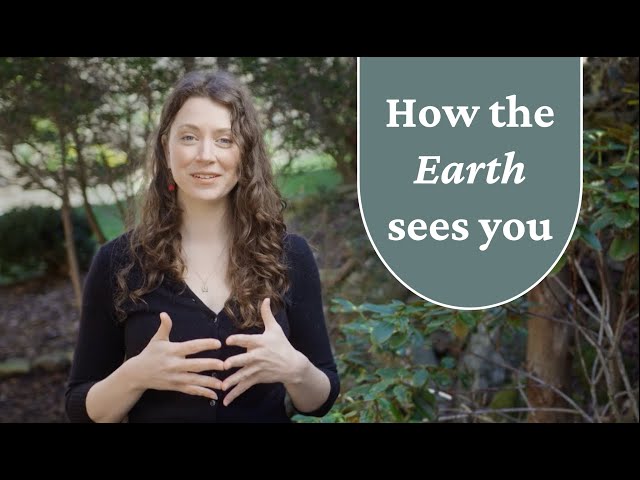 How the Earth Sees You