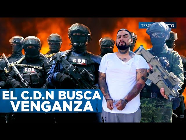 El PELIGROSO Cartel del NORESTE busca VENGANZA tras CAPTURA de Ricky: El CJNG y el C.D.S TIEMBLAN