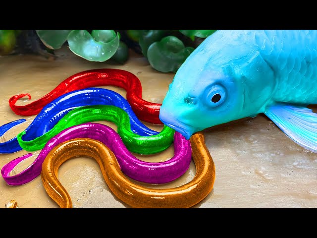 Stop Motion ASMR: Rainbow Carp Fishing 💕Big Koi Fish hunt Colorful Eels in Mud | Primitive Cooking