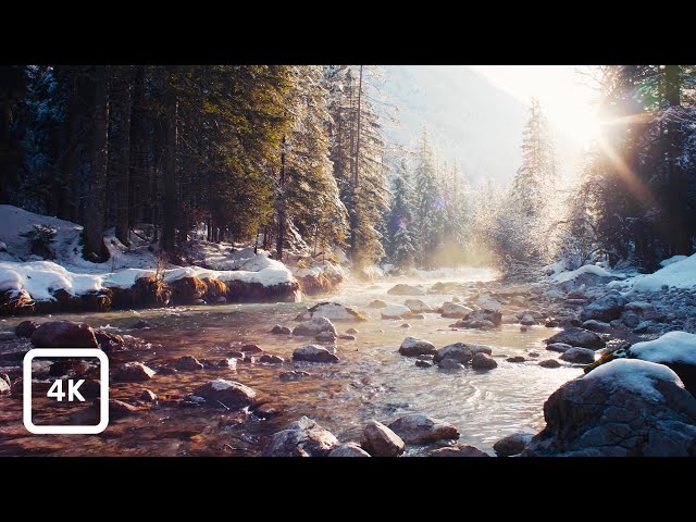 Winter Forest River Ambience - Snowy Alps with Sunlit Mist & Birdsong | Relaxing Nature Sounds 4K