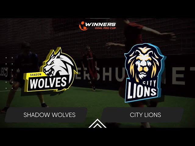 Winners Goal Pro Cup. Shadow Wolves - City Lions 14.02.25. Second Group Stage. Group Winners