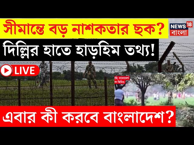 Bangladesh News LIVE | Delhi র হাতে হাড় হিম তথ্য! এবার কী করবে বাংলাদেশ? | Dhaka | Bangla News