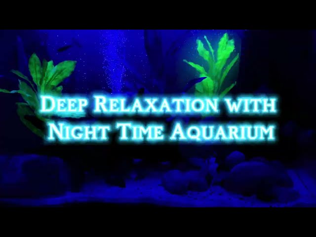 Twilight Aquarium | Relaxing Ambient Music for Peace & Focus