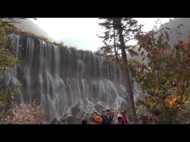 Shangri-La 17 - Jiuzhaigou 九寨沟 Part2, Nuorilang and Pearl Shoal Waterfalls are magnificient.