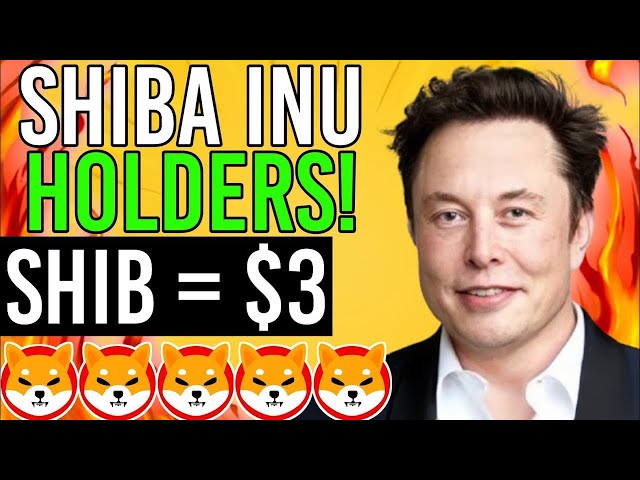 Elon musk REVEALS HOW SHIBA INU COIN WILL HIT $3 Soon!!