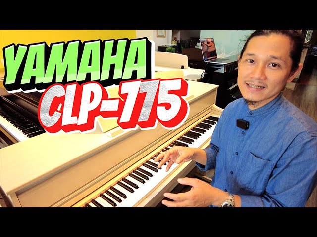 Review piano điện Yamaha CLP775