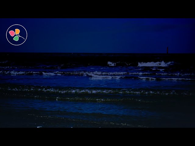 As The Sun Goes Down, The Sea Reduces Anxiety And Stress 🌊 Ocean Sounds ASMR 🌊🌙