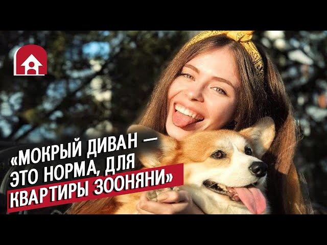 Зооняни (мимиметр зашкаливает!) | Неудобные вопросы