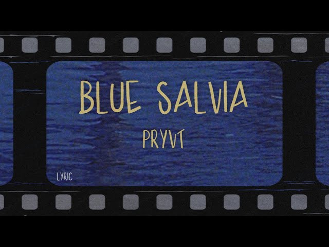 pryvt - blue salvia (Lyrics)