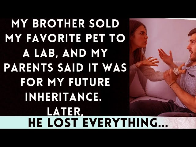 My Brother Sold My Beloved Pet to a Lab, and My Parents Justify It as 'Securing My Inheritance'