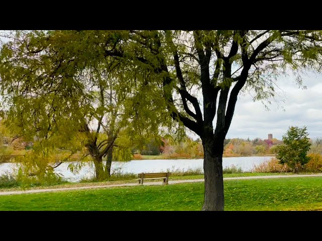 15-Minute Countdown Timer: Autumn Lakeside Journey | 4K