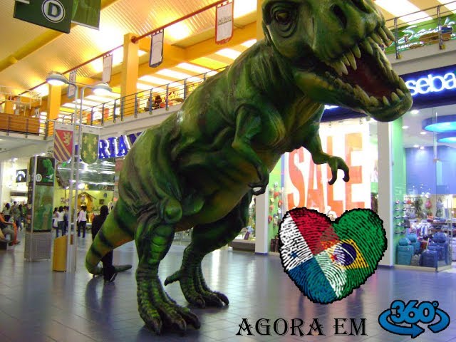 #026  ALBROOK MALL