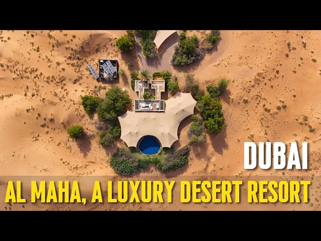 Al Maha, a Luxury Collection Desert Resort & Spa, Dubai - Full Tour