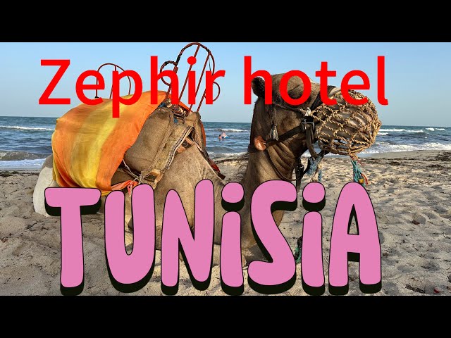 Zephir Hotel and Spa. 🇹🇳 Tunisia. All inclusive.