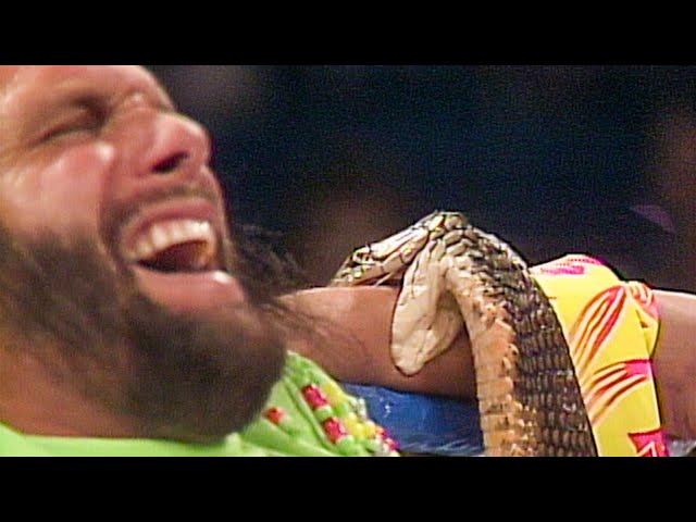 Jake Roberts and Randy Savage’s infamous cobra bite segment: WWE Superstars, Nov. 23, 1991