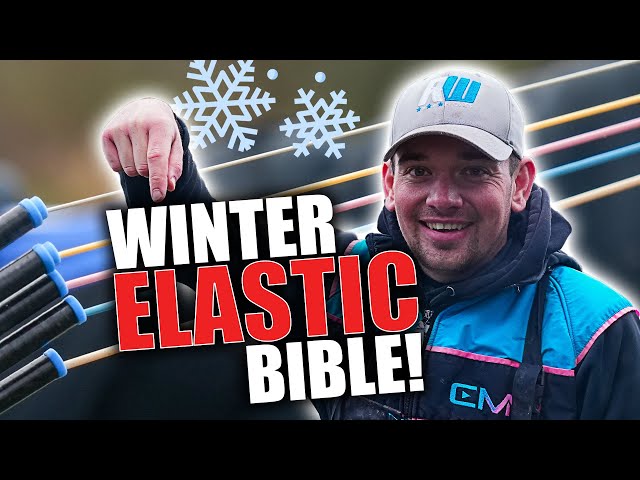 The ULTIMATE Winter Pole Elastic Guide