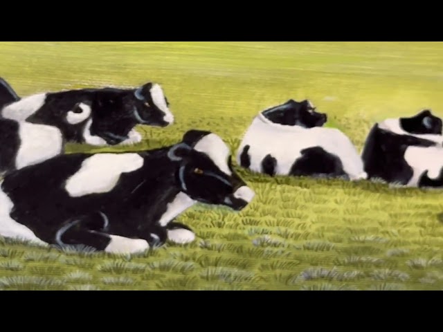 Herd Holstein Friesian Cows Near Rosslyn Chapel By Ian Fraser