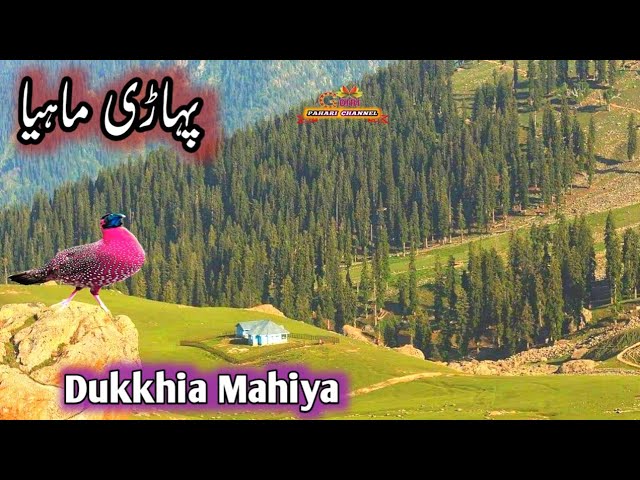 Gojri pahari geet dukkhia song beautiful kashmir road gojri pahari channel