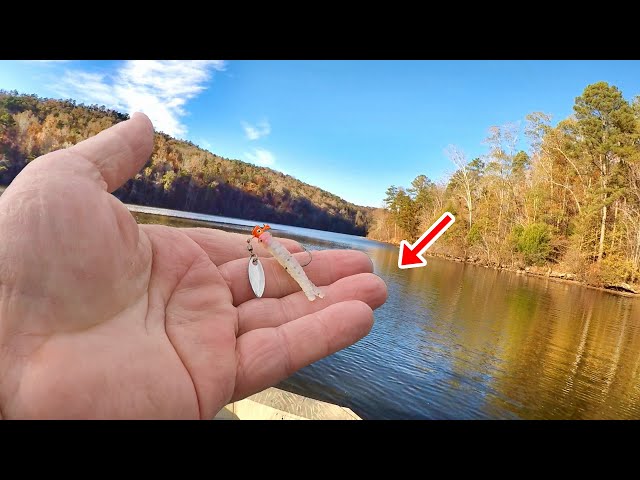 Crappie Fishing 2025! If You Like To Catch & Eat Crappie This Bait Is A Must Try!