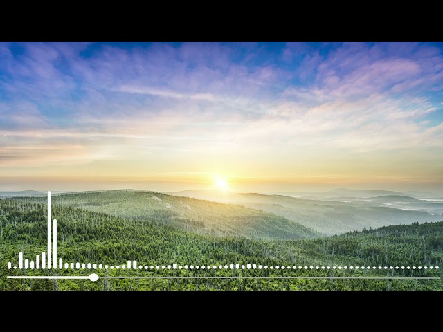 Beautiful Relaxing Music 24/7, Peaceful Soothing Instrumental Music