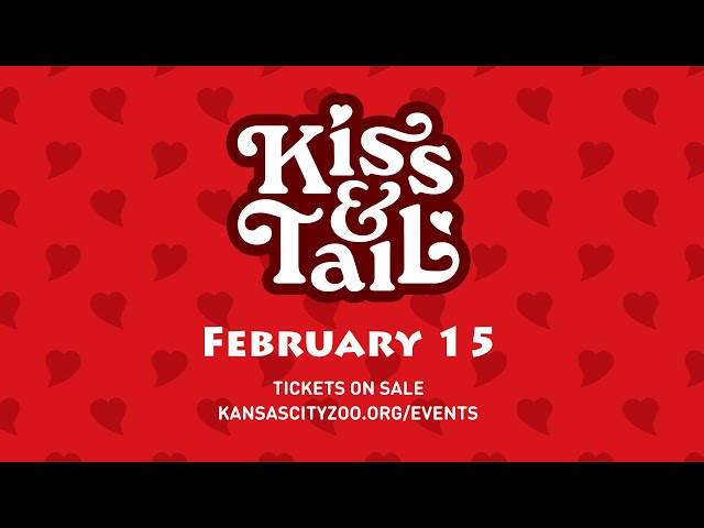 Kiss & Tail Returns February 15th!