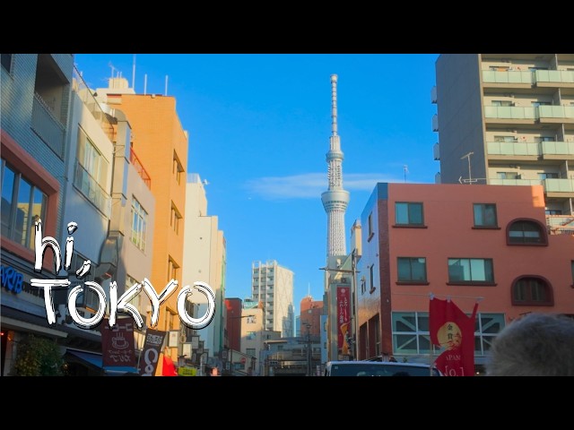 TOKYO travel vlog_temples,food,a day-hike,the fall | Japan 🇯🇵