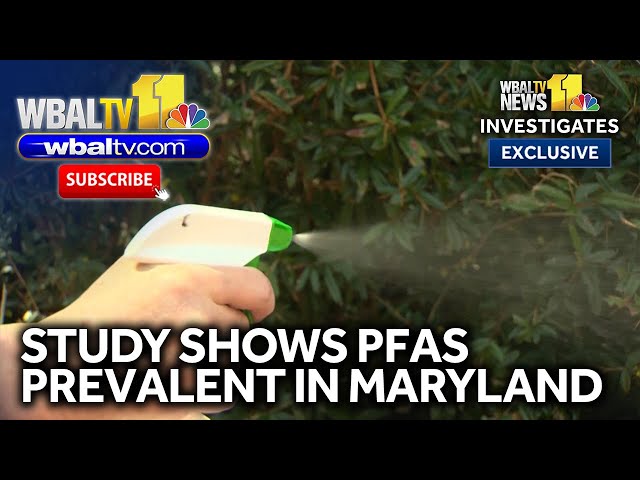 Study finds 'potentially harmful' levels of PFAS in Marylanders