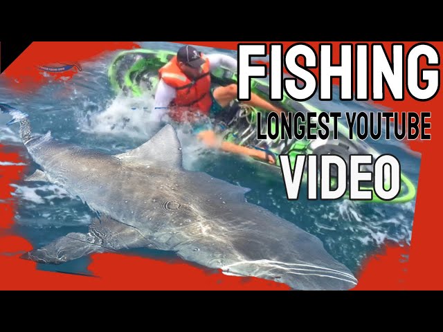 Shark and Grouper Goliath Longest Fishing Videos! Enormous Fish In The Smallest Boats