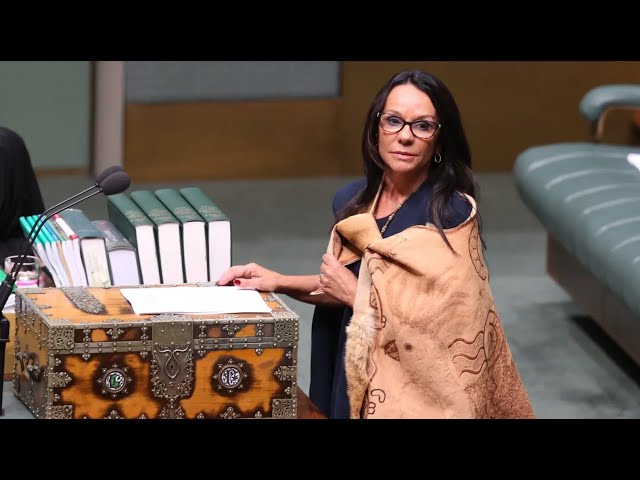 Minister Linda Burney announces retirement