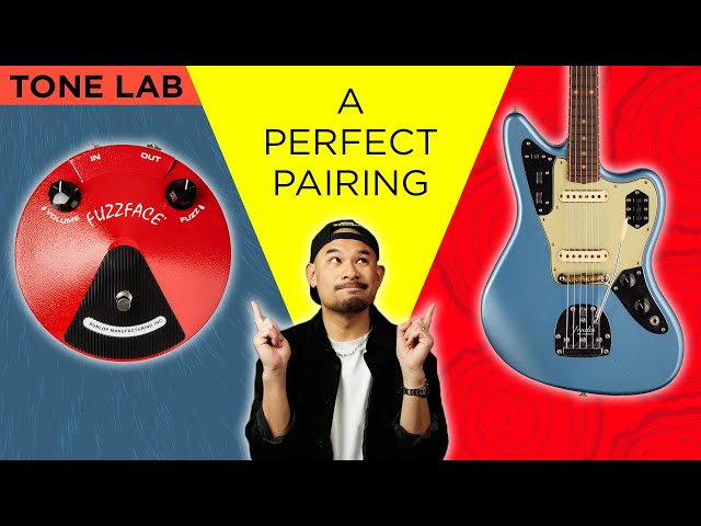 Why The Fender Jaguar is the BEST Guitar For a Fuzz Face Pedal | TONE LAB