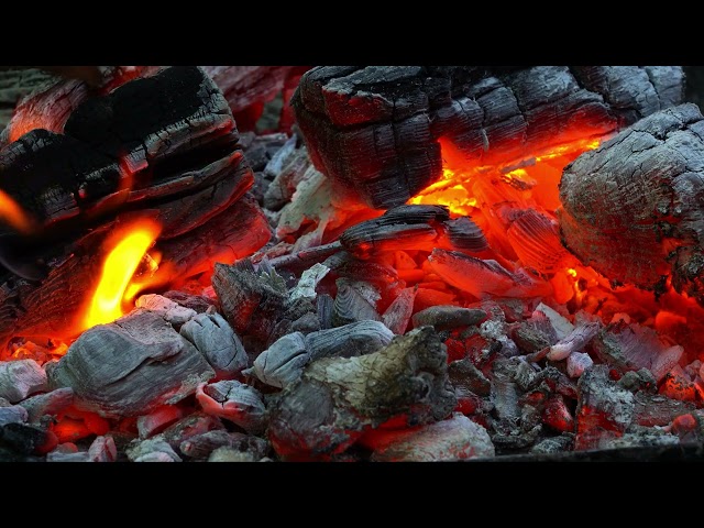 Relaxing ASMR: 1 Hour of Coal Crackling & Wood Burning Sound 🔥  #asmr #cracklingfireplacesounds