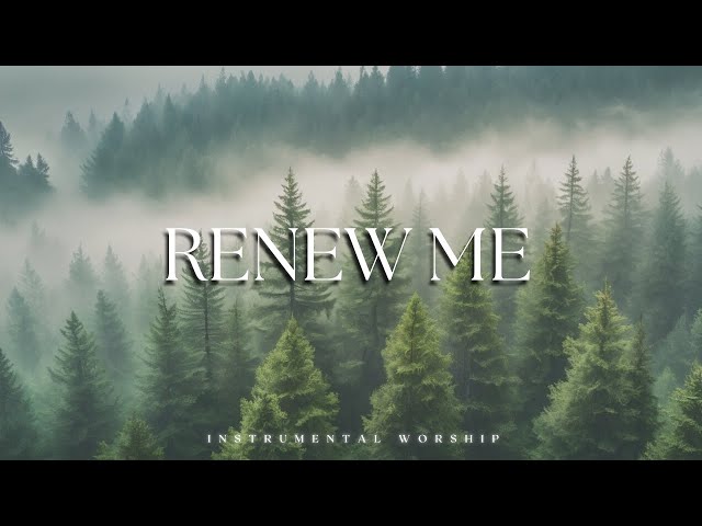 RENEW ME | INSTRUMENTAL WORSHIP // SOUNDS OF PEACE FOR YOUR PRAYER TIME