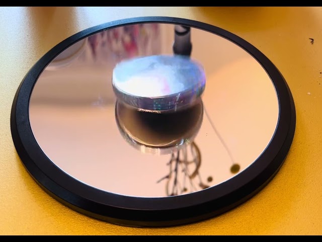 Euler's Disk