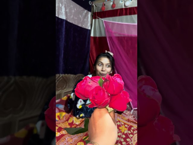 বোন যখন আমার ফুল পাগল হয় 🥰🥺#viralvideo #shortvideo #amitambikavlogs